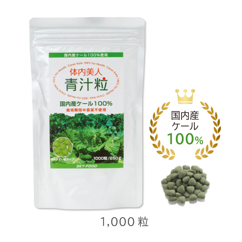 体内美人 青汁粒