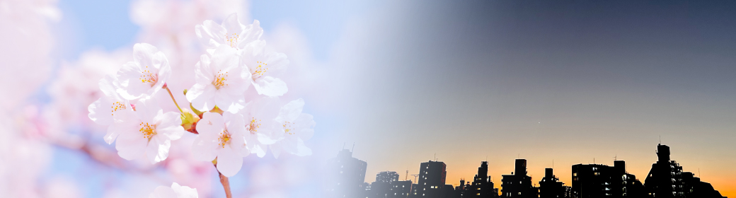 桜と夜景イメージ