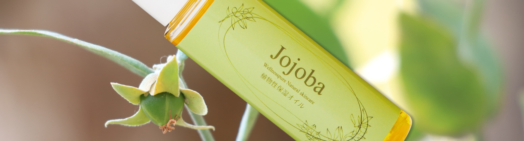 ジョジョバ商品イメージ