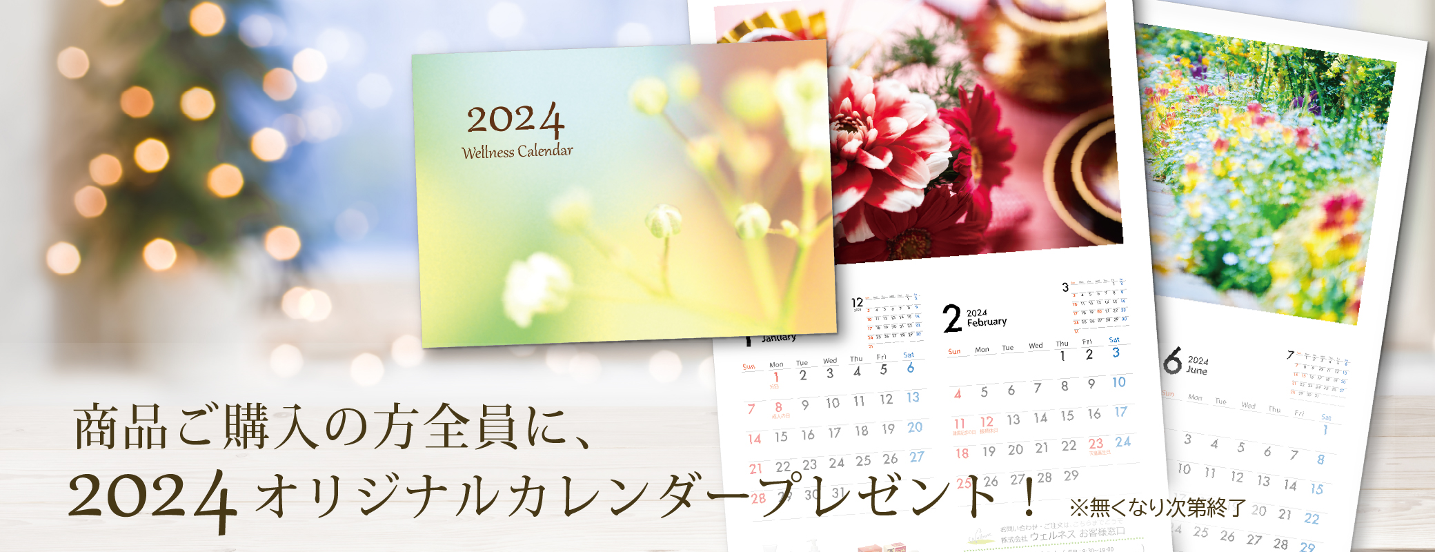 商品ご購入の方全員に、2024ウェルネスオリジナルカレンダープレゼント