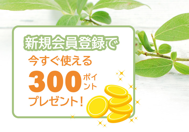 新規会員登録で300ポイントプレゼント！