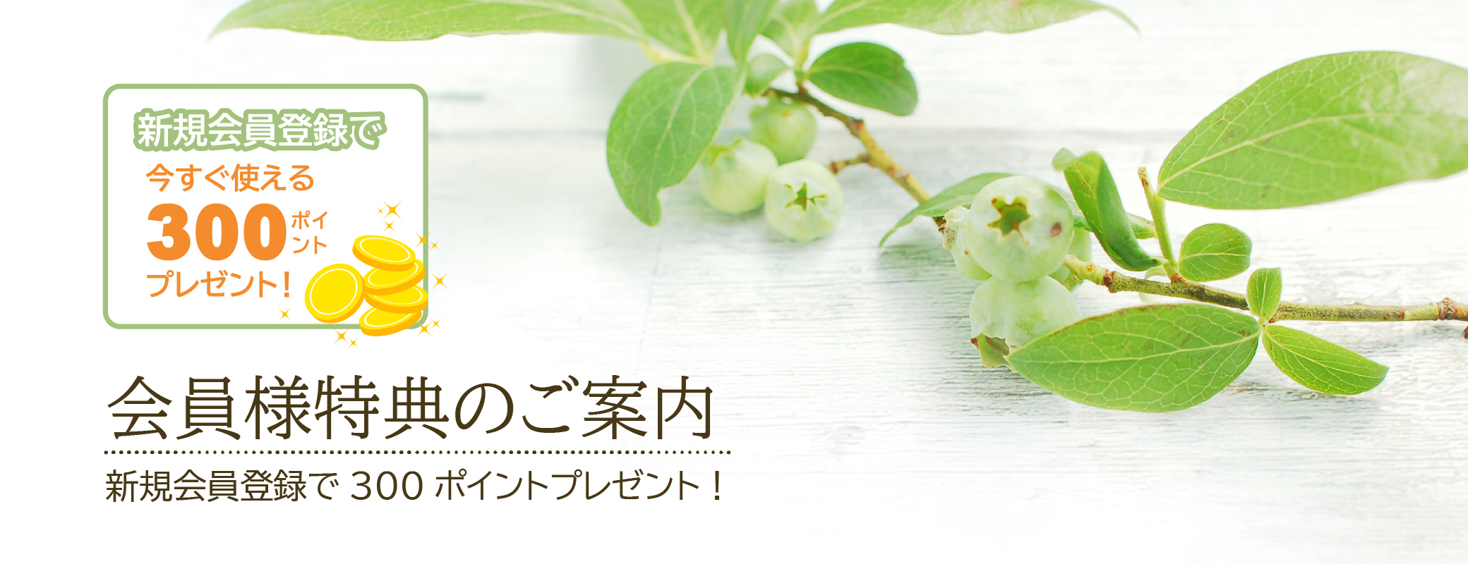 会員登録