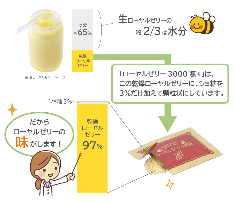 生ローヤルゼリーの2/3は水分。「ローヤルゼリー3000凛」は、乾燥ローヤルゼリーにショ糖を3%だけ加えて顆粒状にしています。乾燥ローヤルゼリー97%なので、ローヤルゼリーの味がします!