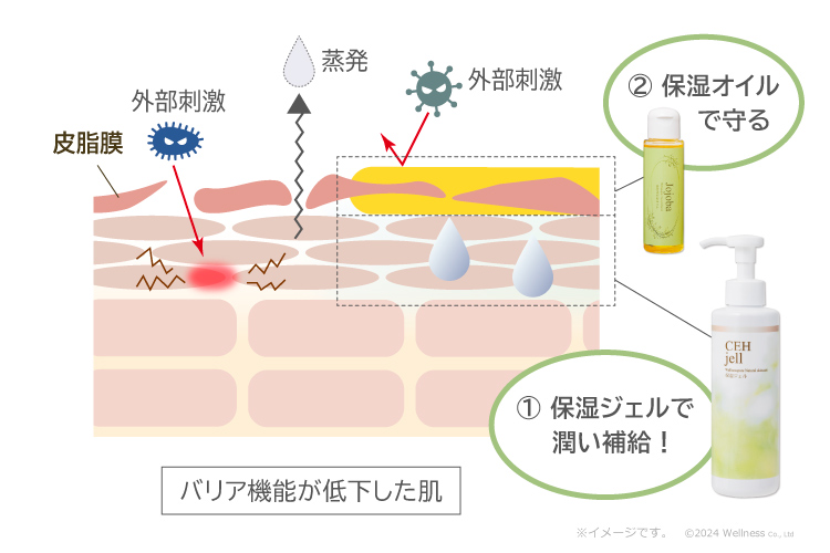 バリア機能が低下した肌