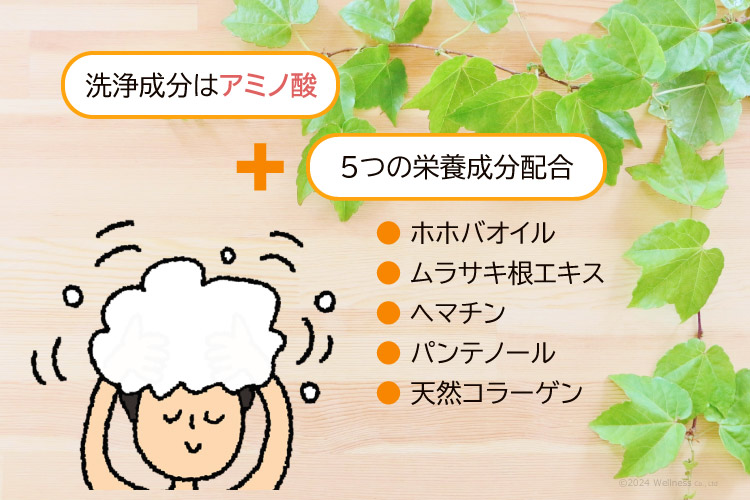 図「洗浄成分はアミノ酸」＋「５つの栄養成分配合」（ホホバオイル・ムラサキ根エキス・ヘマチン・パンテノール・天然コラーゲン）