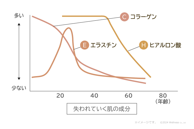 失われていく肌の成分(コラーゲン・エラスチン・ヒアルロン酸)のグラフ