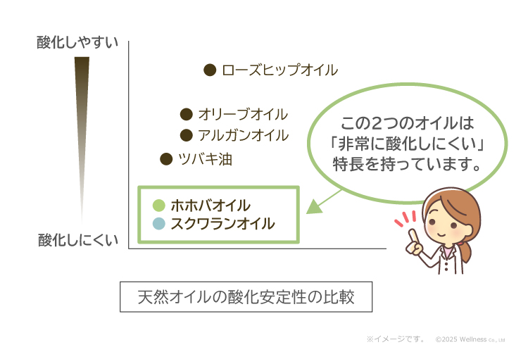 図「天然オイルの酸化安定性の比較」ホホバオイル、スクワランオイルは、非常に酸化しにくい特長を持っています。