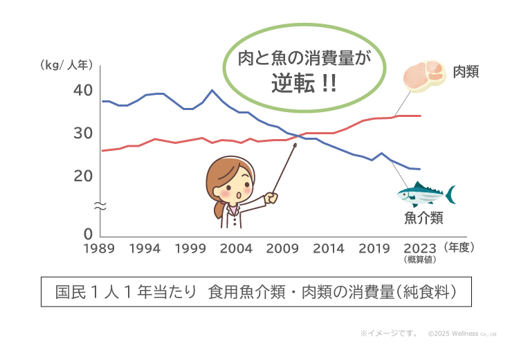 グラフ:国民1人1年当たり 食用魚介類・肉類の消費量(純食料)