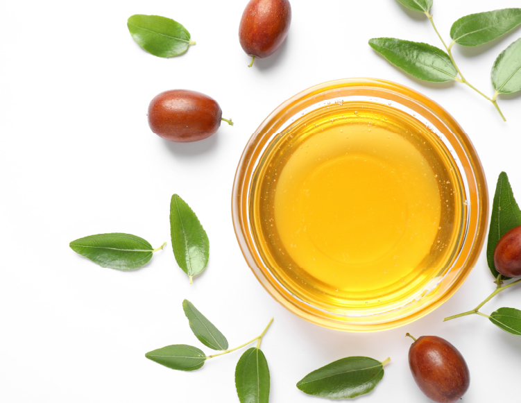 ホホバ種子とホホバオイルイメージ