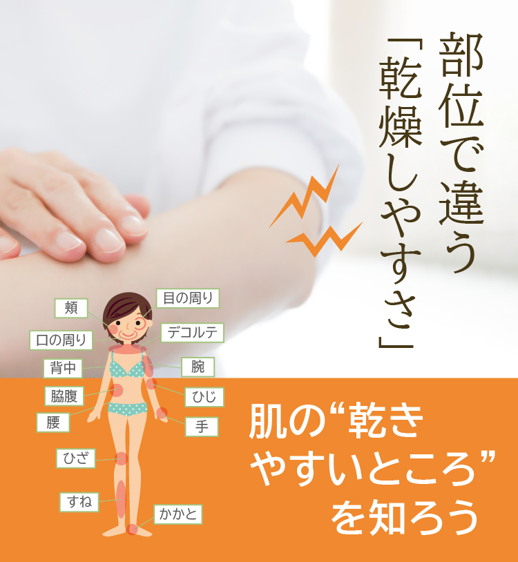 部位で違う「乾燥しやすさ」－肌の“渇きやすいところ”を知ろう 