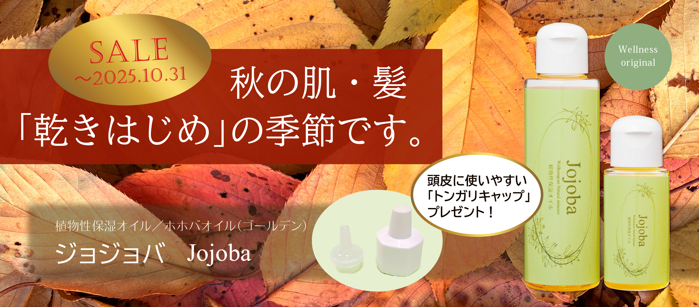 秋の肌・髪「乾きはじめ」の季節です／植物性保湿オイル／ホホバオイル（ゴールデン）／ジョジョバ／期間限定特価（～10/31まで）