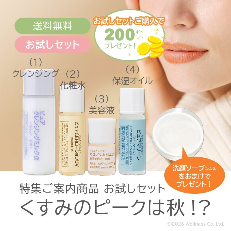 【お試しセット】【DM便発送】特集「くすみのピークは秋」お試しセット